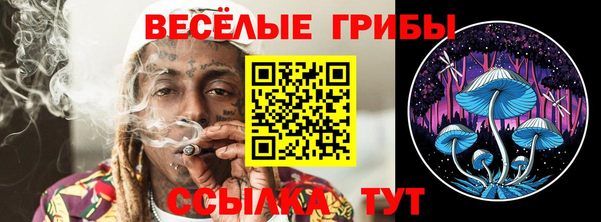 Арзамас  Псилоцибиновые грибы GOLDEN TEACHER  Псилоцибиновые грибы мухоморы  Вход с VPN 